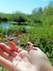 Similar image 21942154