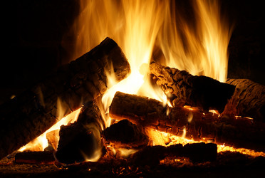 Similar image 21942155