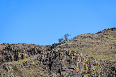 Similar image 21942625