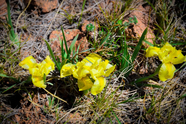 Similar image 21942630