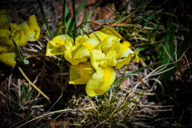 Similar image 21942631