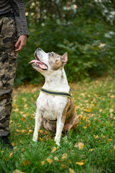 Similar image 21943719