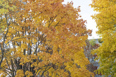 Similar image 21943921