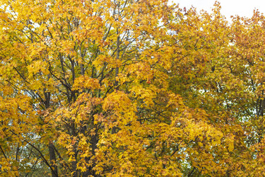 Similar image 21945457