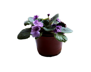 Similar image 21945745