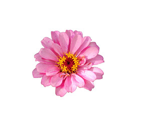 Similar image 21945746