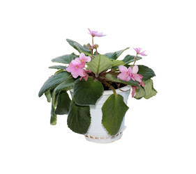 Similar image 21945750