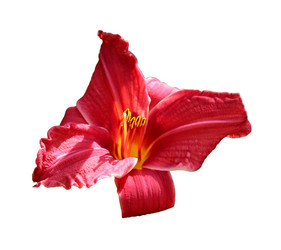 Similar image 21945751