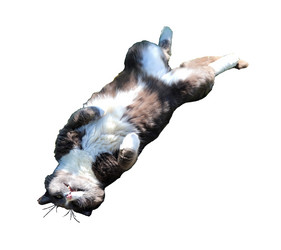 Similar image 21945754