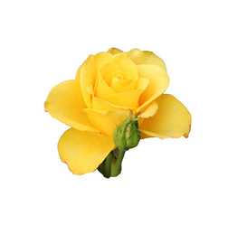 Similar image 21945755