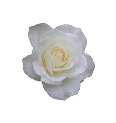 Similar image 21945756