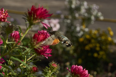 Similar image 21942167