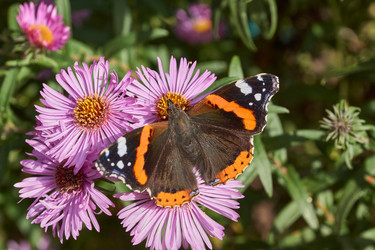 Similar image 21942169