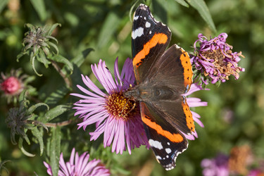 Similar image 21942170