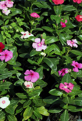 Similar image 21942214