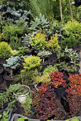 Similar image 21942215