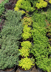 Similar image 21942217