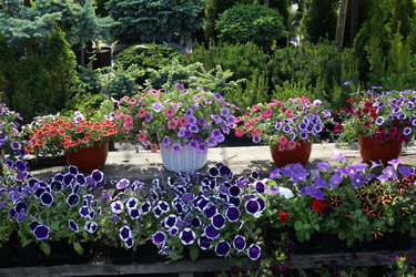 Similar image 21942219