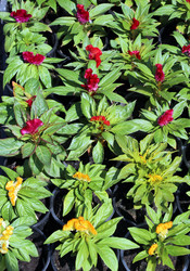 Similar image 21942223