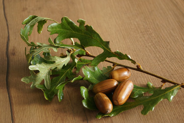 Similar image 21943771