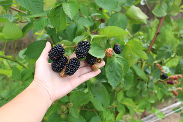 Similar image 21945366