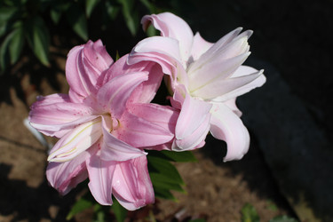 Similar image 21945367