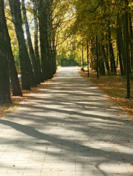 Similar image 21945299