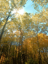 Similar image 21945300