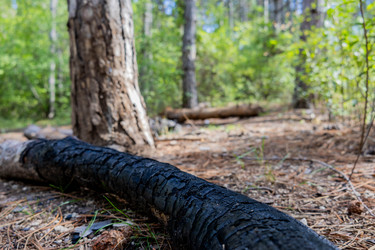 Similar image 21945370