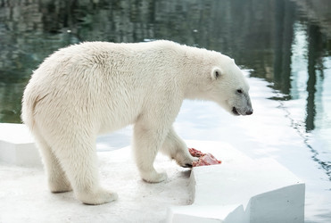 Similar image 21946237