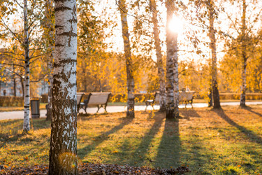 Similar image 21946238