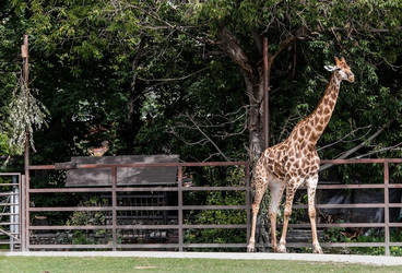 Similar image 21946239