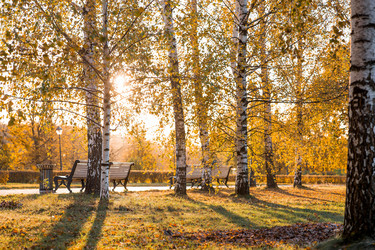 Similar image 21946242