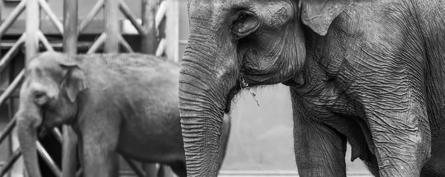 Similar image 21946243