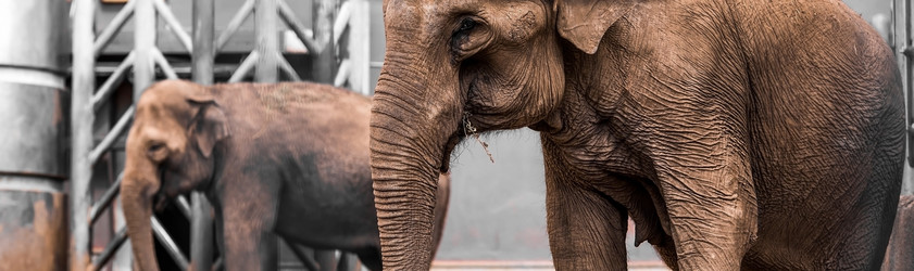 Similar image 21946245