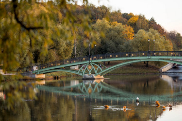 Similar image 21946246