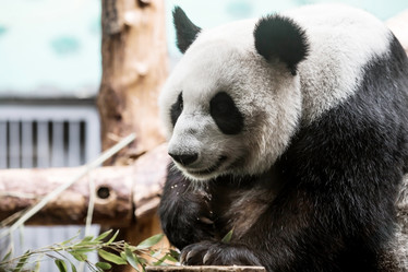 Similar image 21946247