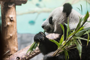 Similar image 21946249