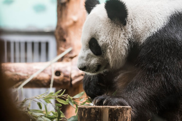 Similar image 21946251