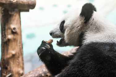 Similar image 21946252