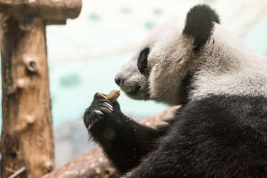 Similar image 21946253