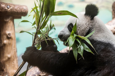 Similar image 21946254