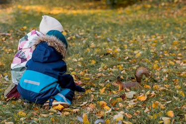 Similar image 21946256