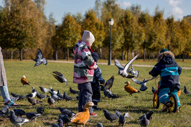 Similar image 21947051