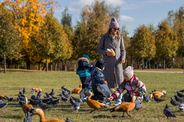 Similar image 21947052