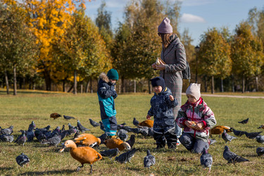 Similar image 21947053