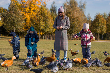 Similar image 21947054