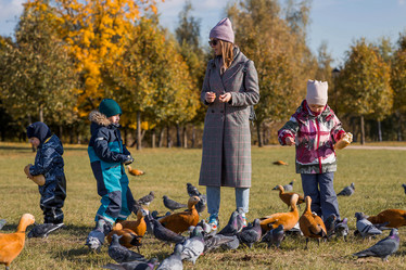 Similar image 21946733