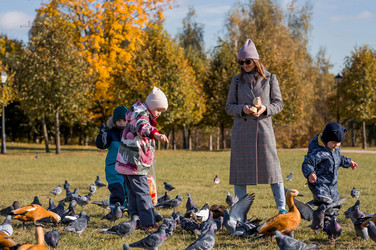 Similar image 21946734