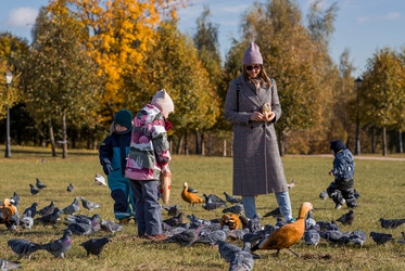 Similar image 21946735